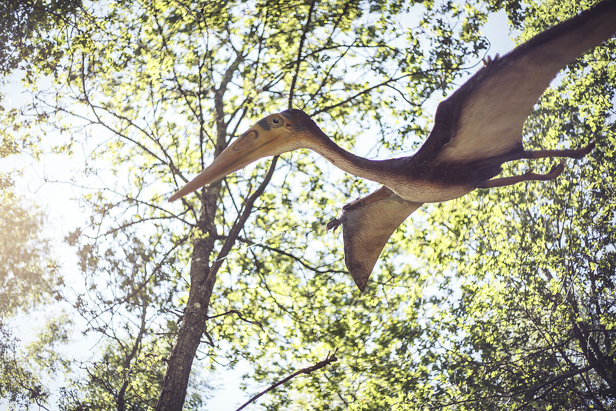 Ein Flugsaurier hängt in den Wipfeln der Bäume