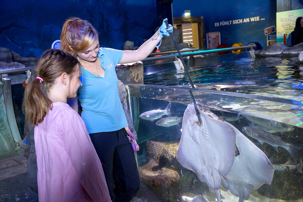 Fütterungen im SEA LIFE Oberhausen