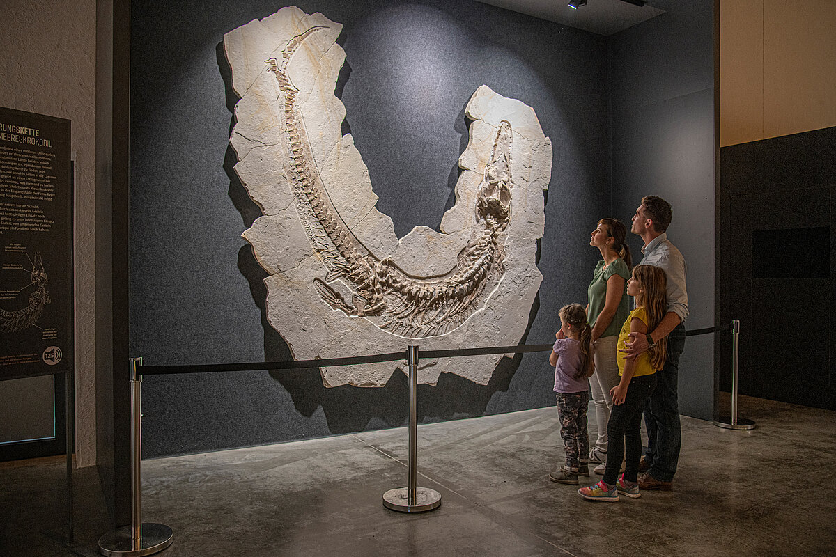 Eine Familie bestaunt ein versteinertes Fossil im Museum