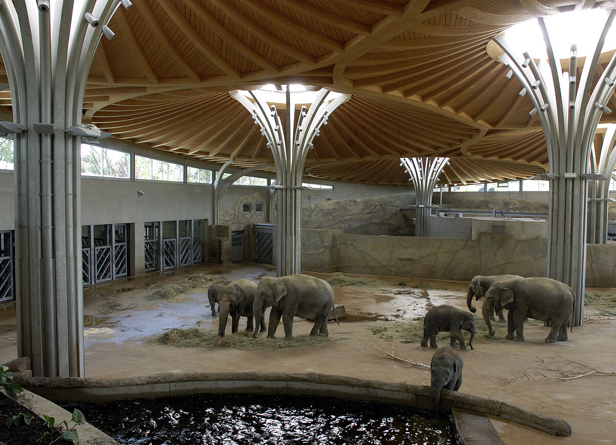 Innenanlage im Elefantenpark