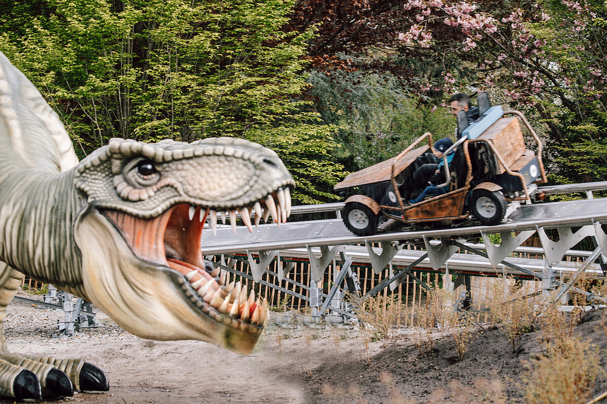 Ein Kind fährt mit einem Wagon auf dem Fahrgeschäfts auf das Maul eines künstlichen Tyrannosaures Rex zu