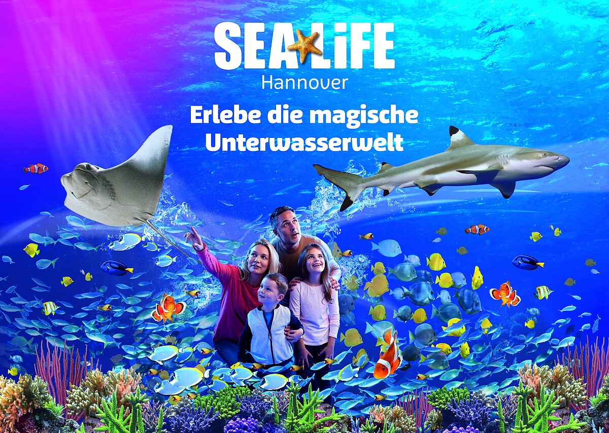 Erlebe die magische Unterwasserwelt im SEA LIFE Hannover